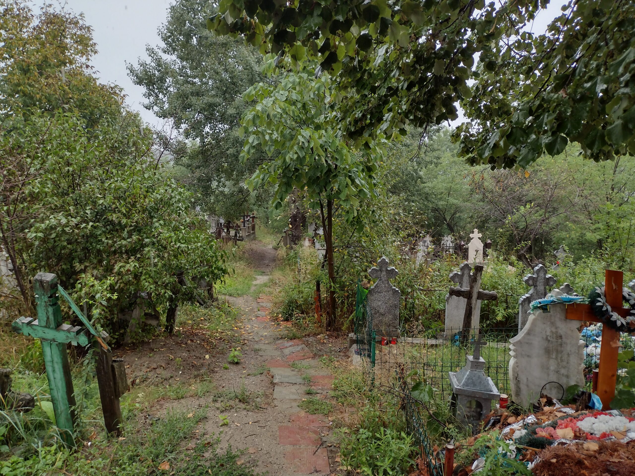 Cimitir 4